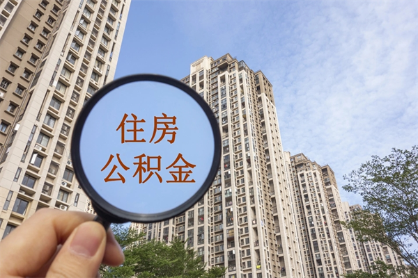 弥勒怎么把公积金全部取出来（如何将公积金全部取出）